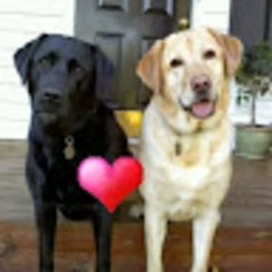 Meet your Posher, Kelley